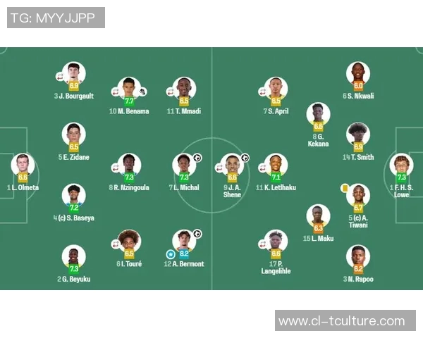 法国与南非激战正酣最终比分定格在1比2的悬念之中